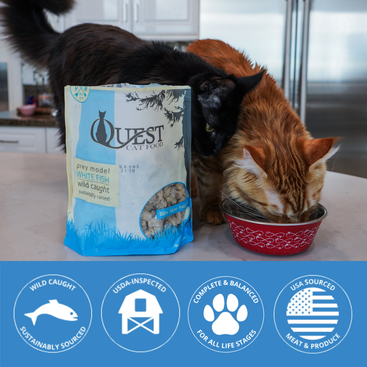 two cats eating Quest Cat Food with brand icons at the bottom