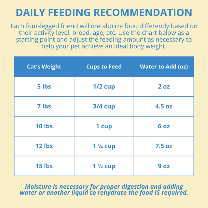 Daily feeding recommendation chart for cats on a light yellow background