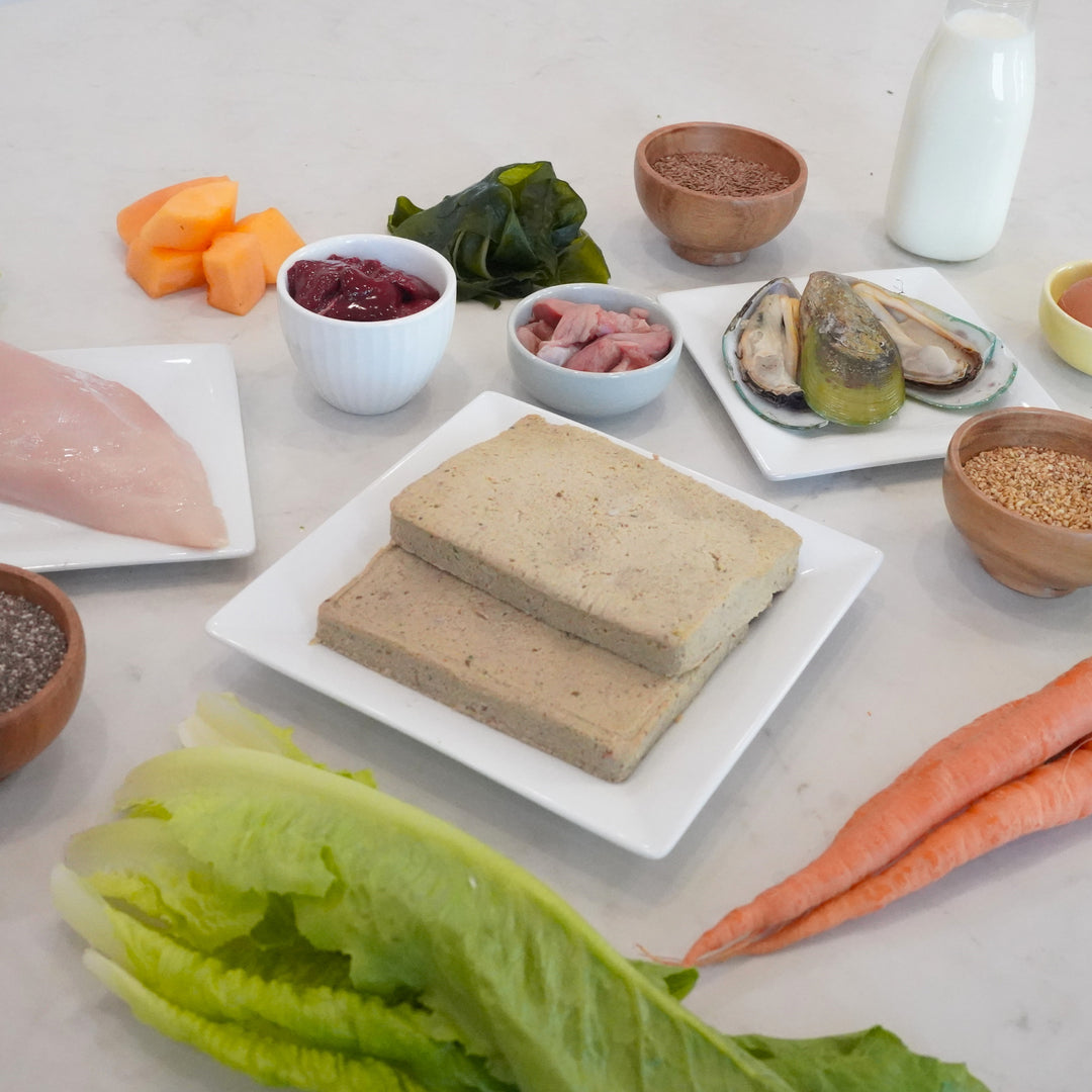 raw pet food patties on white plate surrounded by fresh ingredients