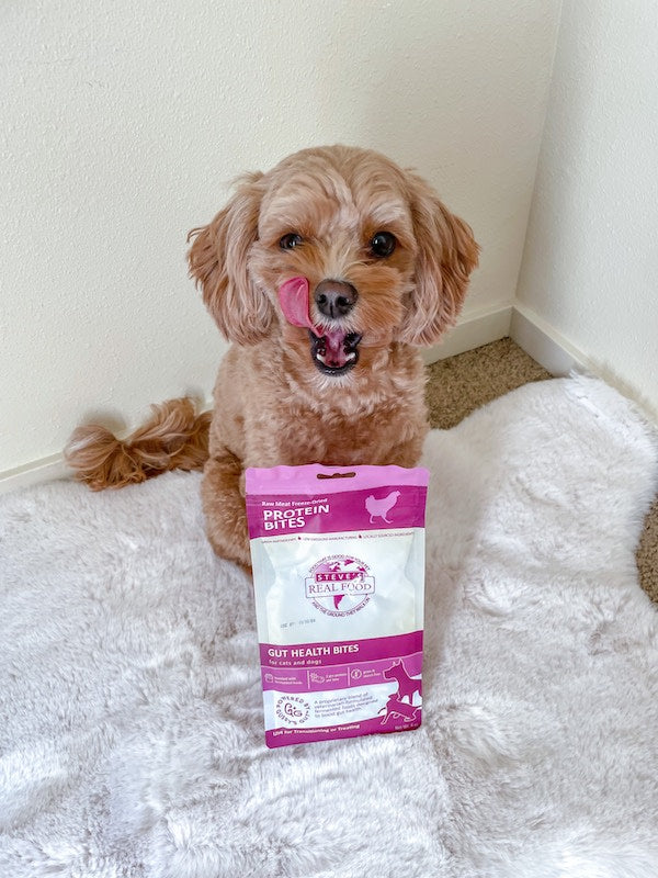 Chicken Protein Bites - Freeze-Dried Gut Health Treats for Dogs and Cats