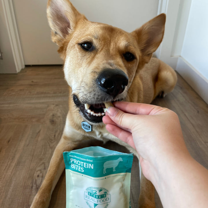 Lamb Protein Bites - Freeze-Dried Gut Health Treats for Dogs and Cats