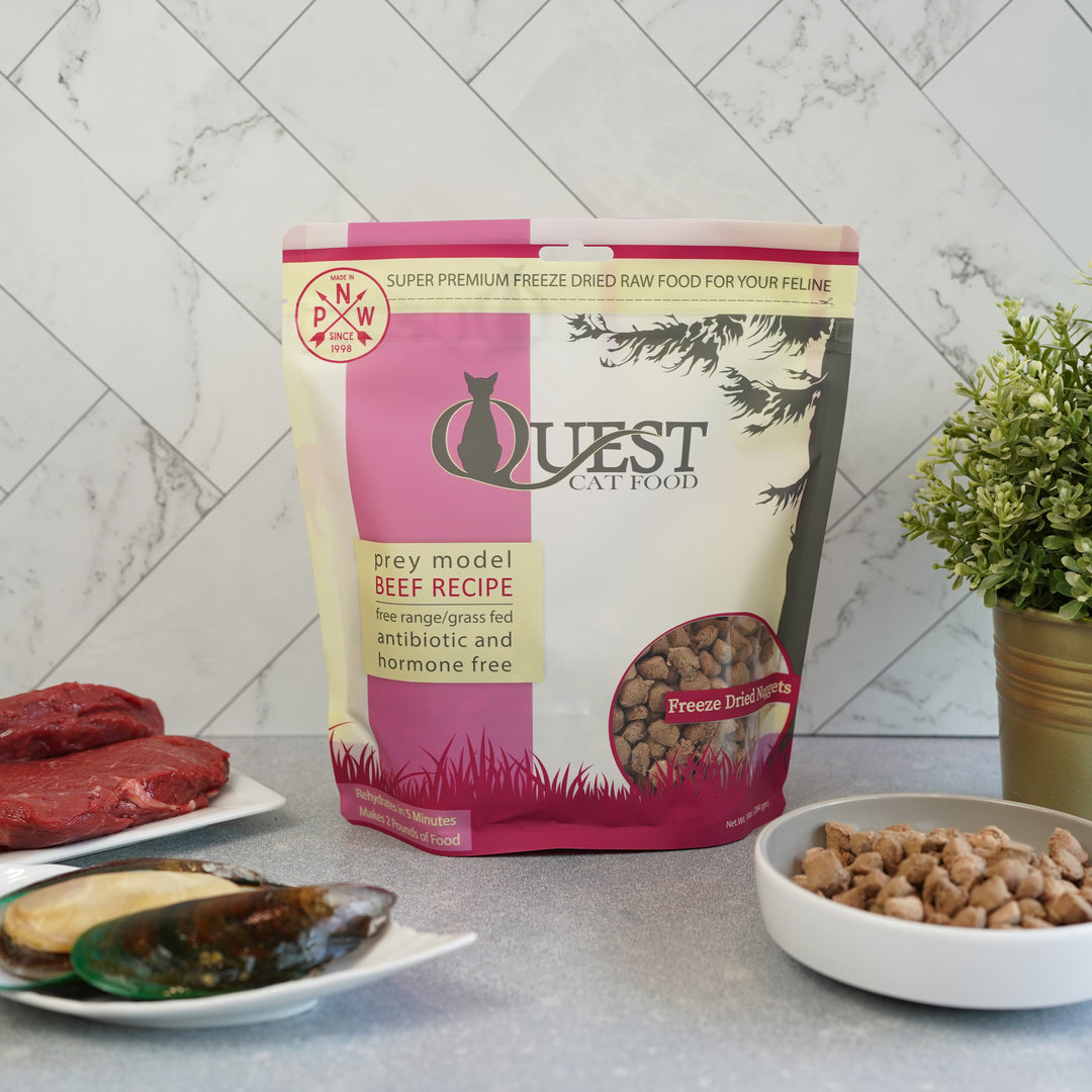 Beef Freeze-Dried Raw Cat Food (2 Pack) Bundle