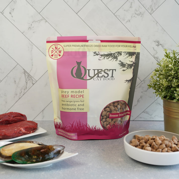 Beef Freeze-Dried Raw Cat Food (2 Pack) Bundle