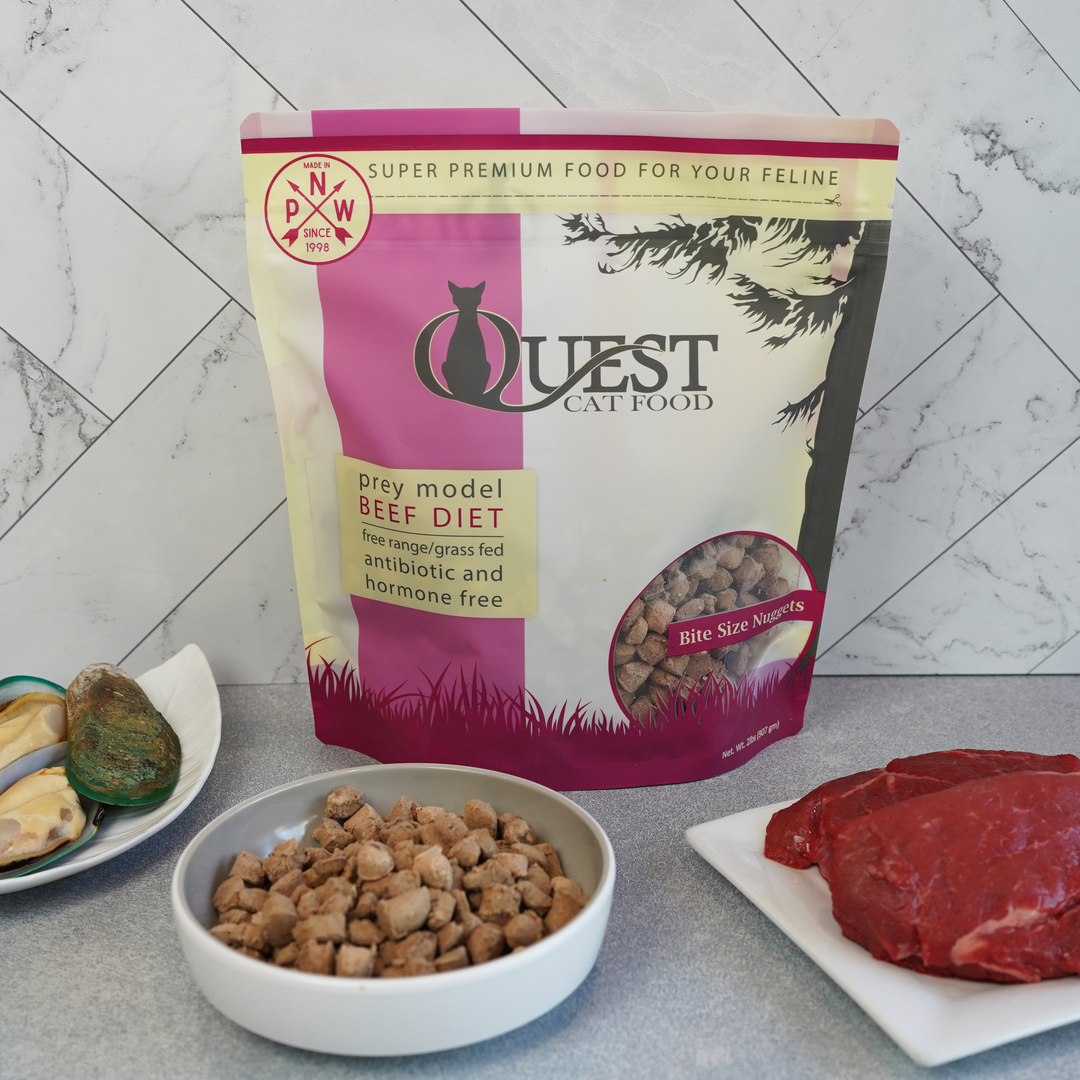 Frozen Raw Cat Food: Beef Diet (4 Pack)