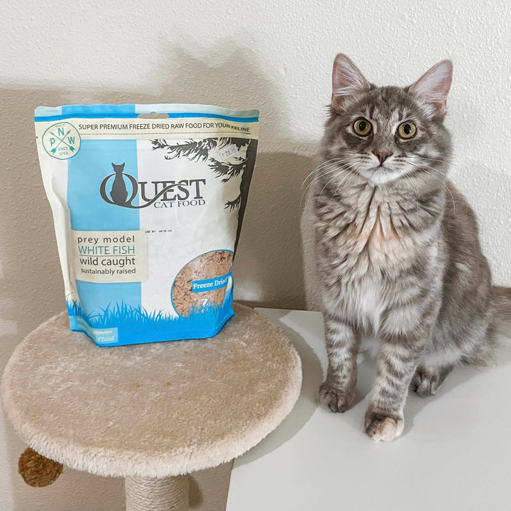 White Fish Freeze-Dried Raw Cat Food (2 pack) Bundle