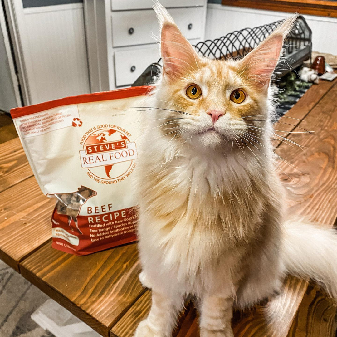 Freeze Dried Raw Dog Food: Beef Nuggets