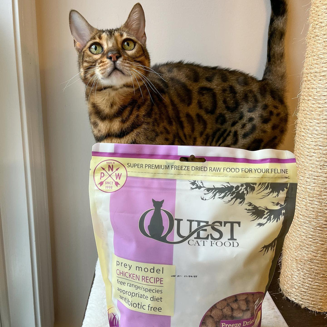 Chicken Freeze-Dried Raw Cat Food (2 Pack) Bundle