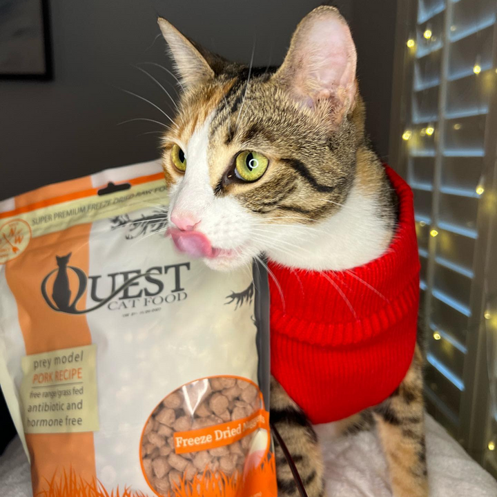 Pork Freeze-Dried Raw Cat Food (2 Pack) Bundle