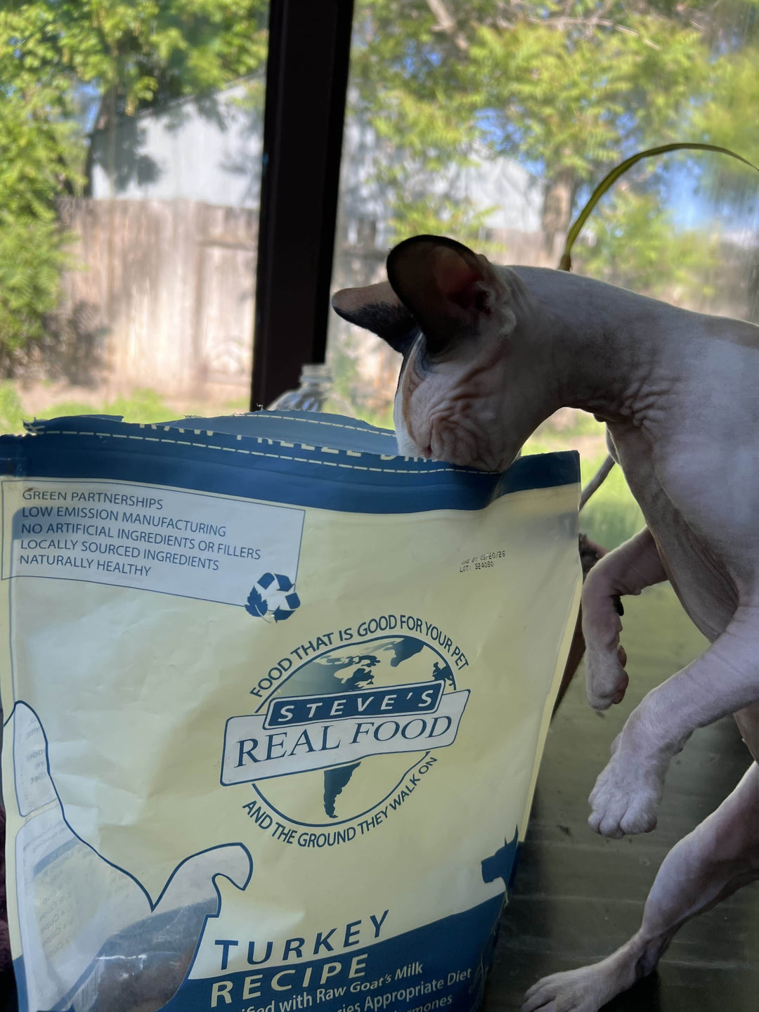 Freeze Dried Raw Pet Food Turkey Nuggets