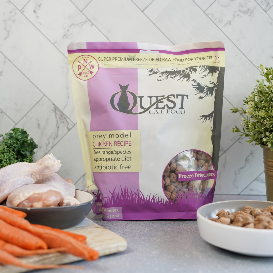 Chicken Freeze-Dried Raw Cat Food (2 Pack) Bundle