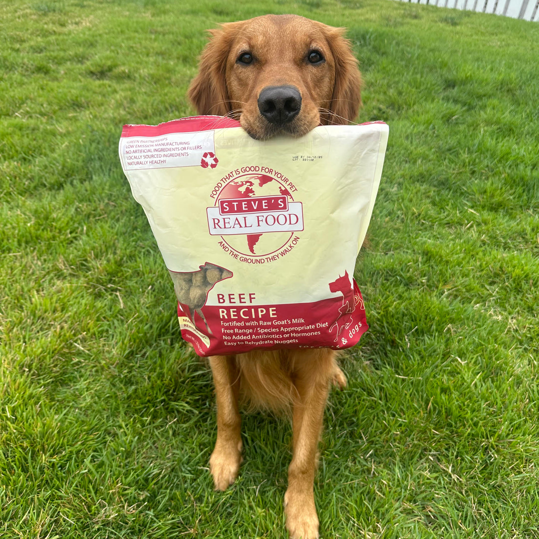 Freeze Dried Raw Dog Food: Beef Nuggets