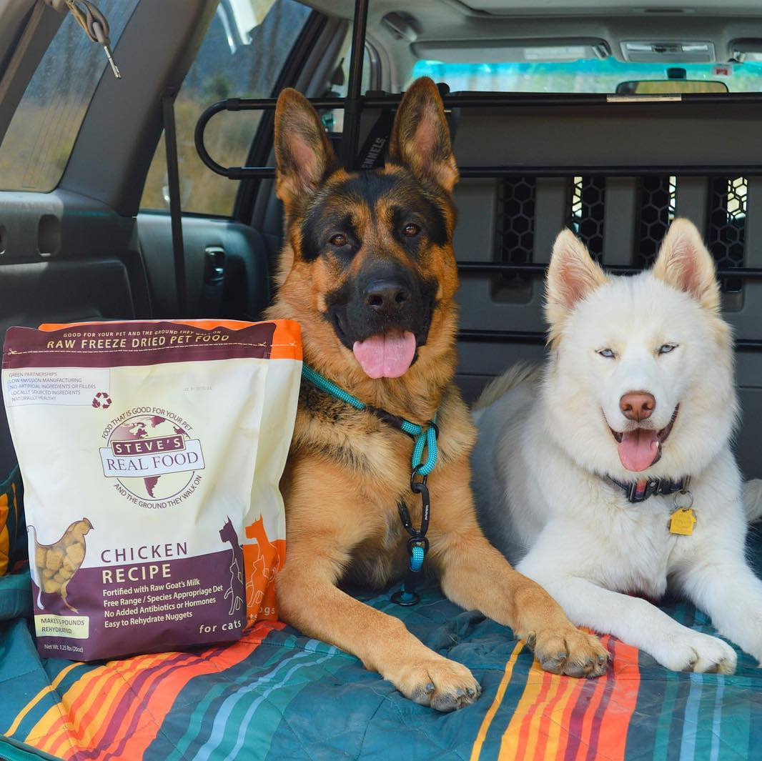 Freeze Dried Raw Dog Food: Chicken Nuggets