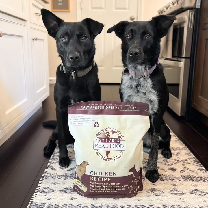 Freeze Dried Raw Dog Food: Chicken Nuggets