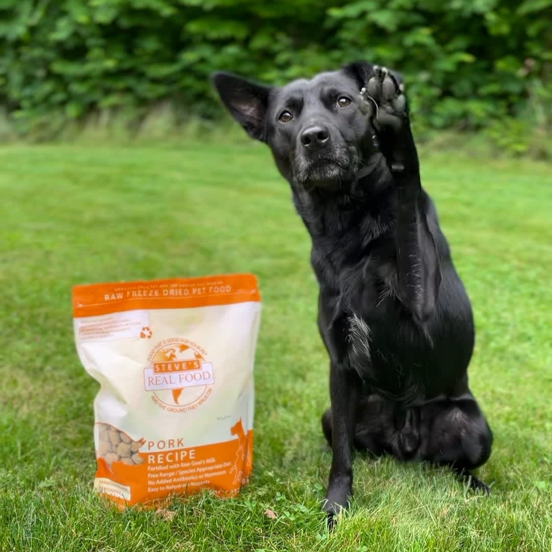 Freeze Dried Raw Dog Food: Pork Nuggets
