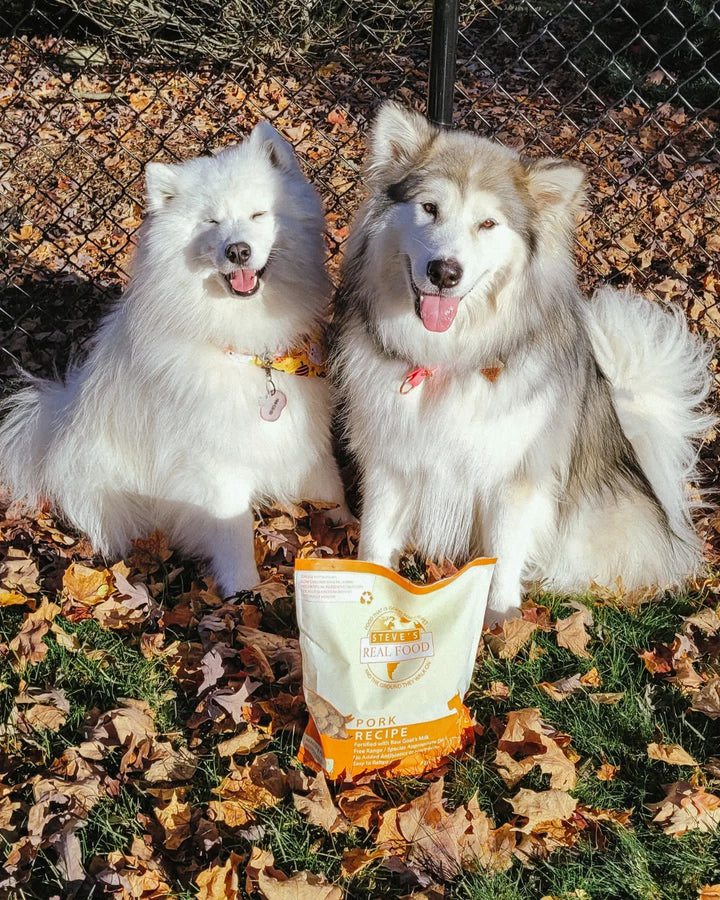 Freeze Dried Raw Dog Food: Pork Nuggets