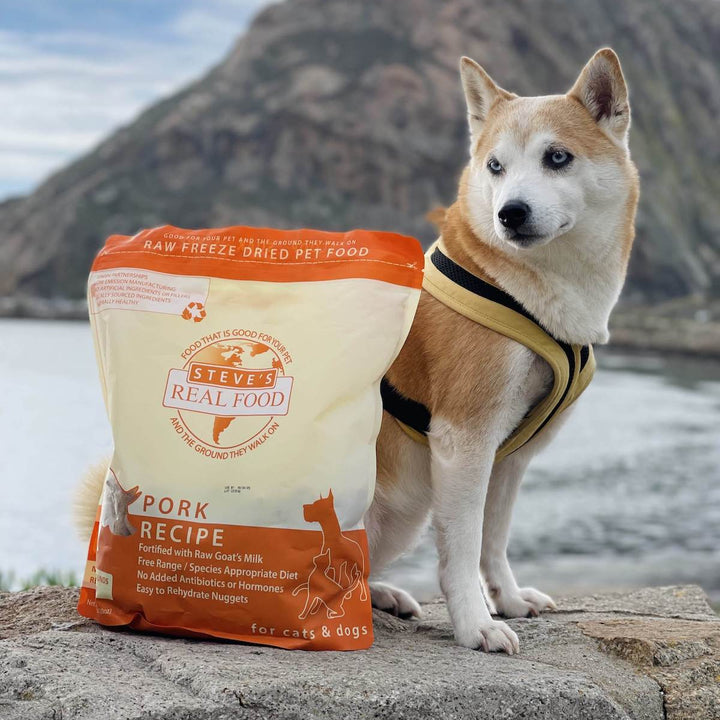 Freeze Dried Raw Dog Food: Pork Nuggets