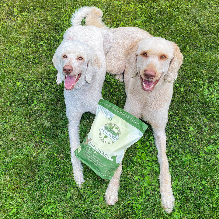 Freeze Dried Raw Pet Food: Turducken Nuggets