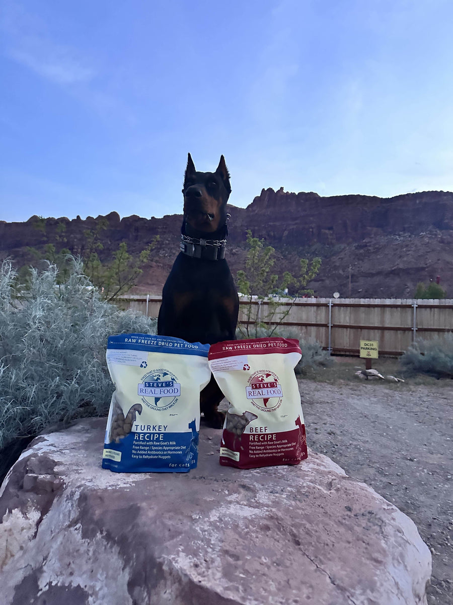 Freeze Dried Raw Pet Food Turkey Nuggets