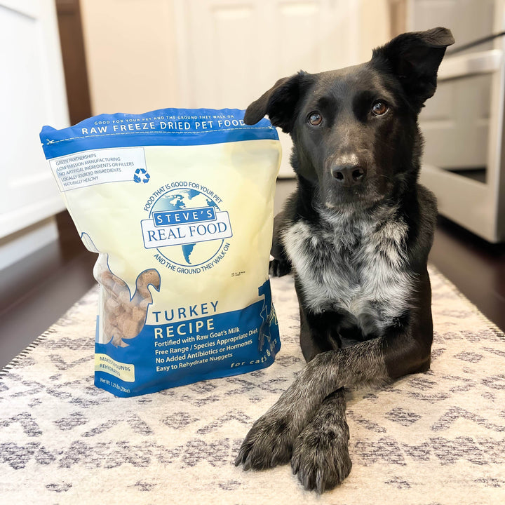 Freeze Dried Raw Pet Food: Turkey Nuggets