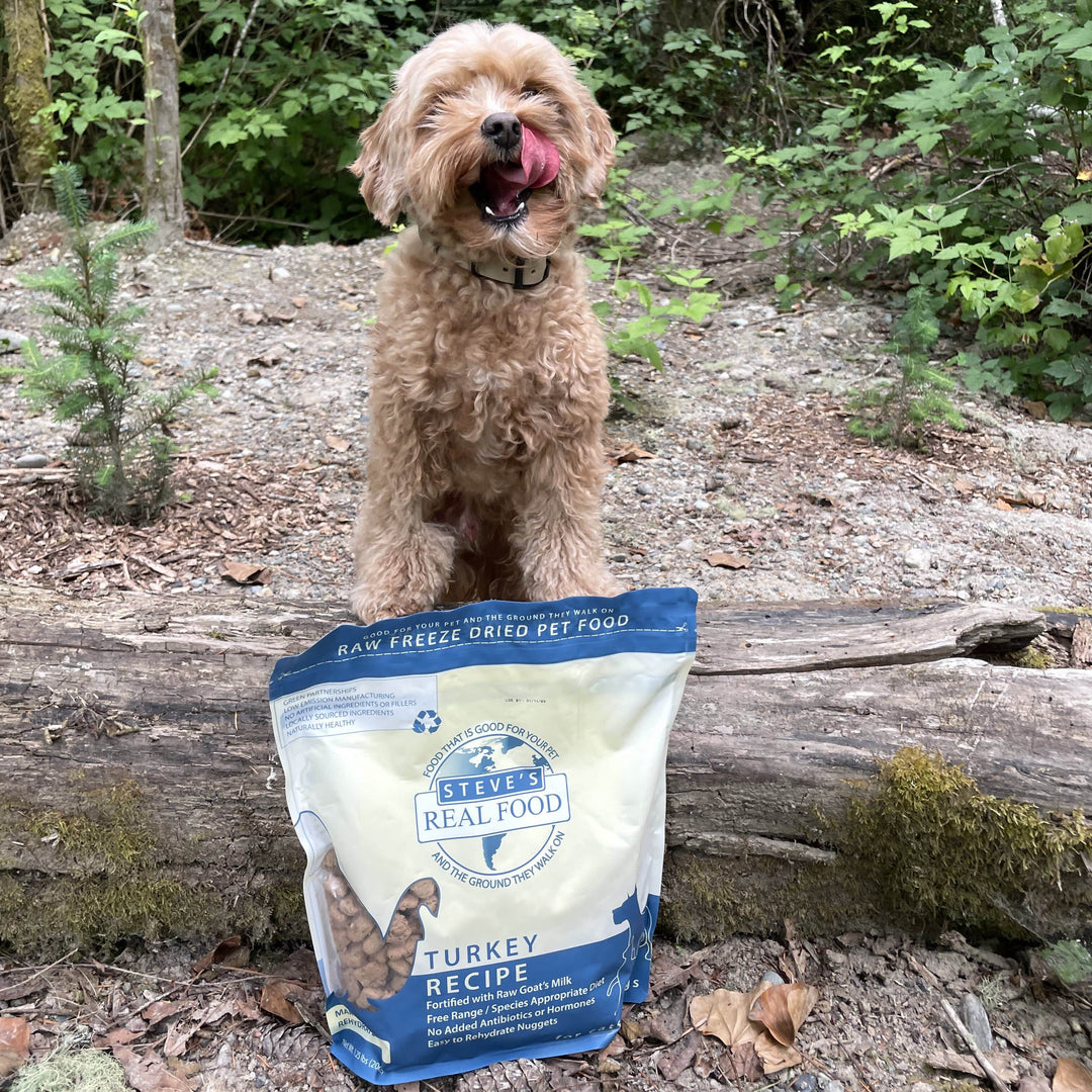 Freeze Dried Raw Pet Food: Turkey Nuggets