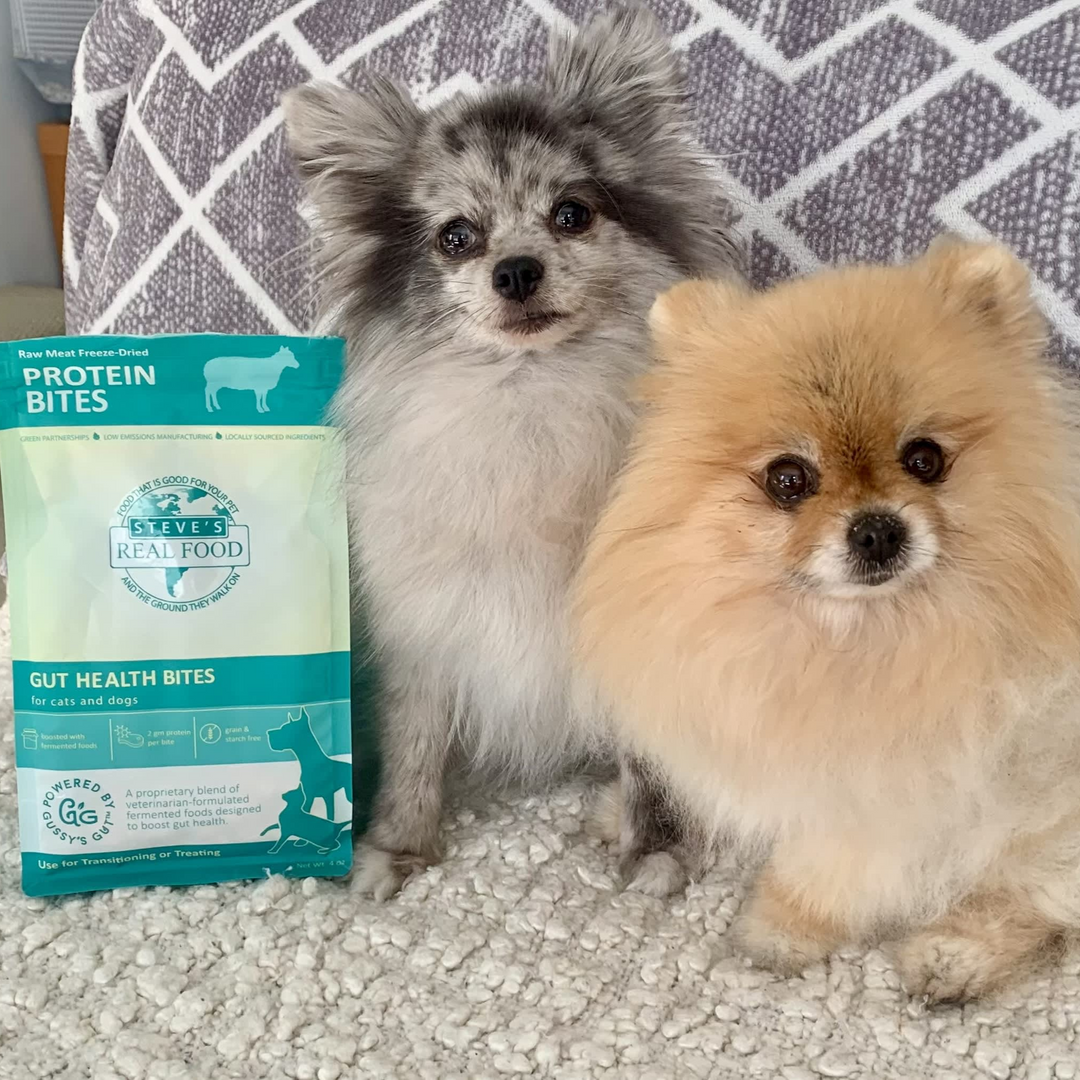 Lamb Protein Bites - Freeze-Dried Gut Health Treats for Dogs and Cats