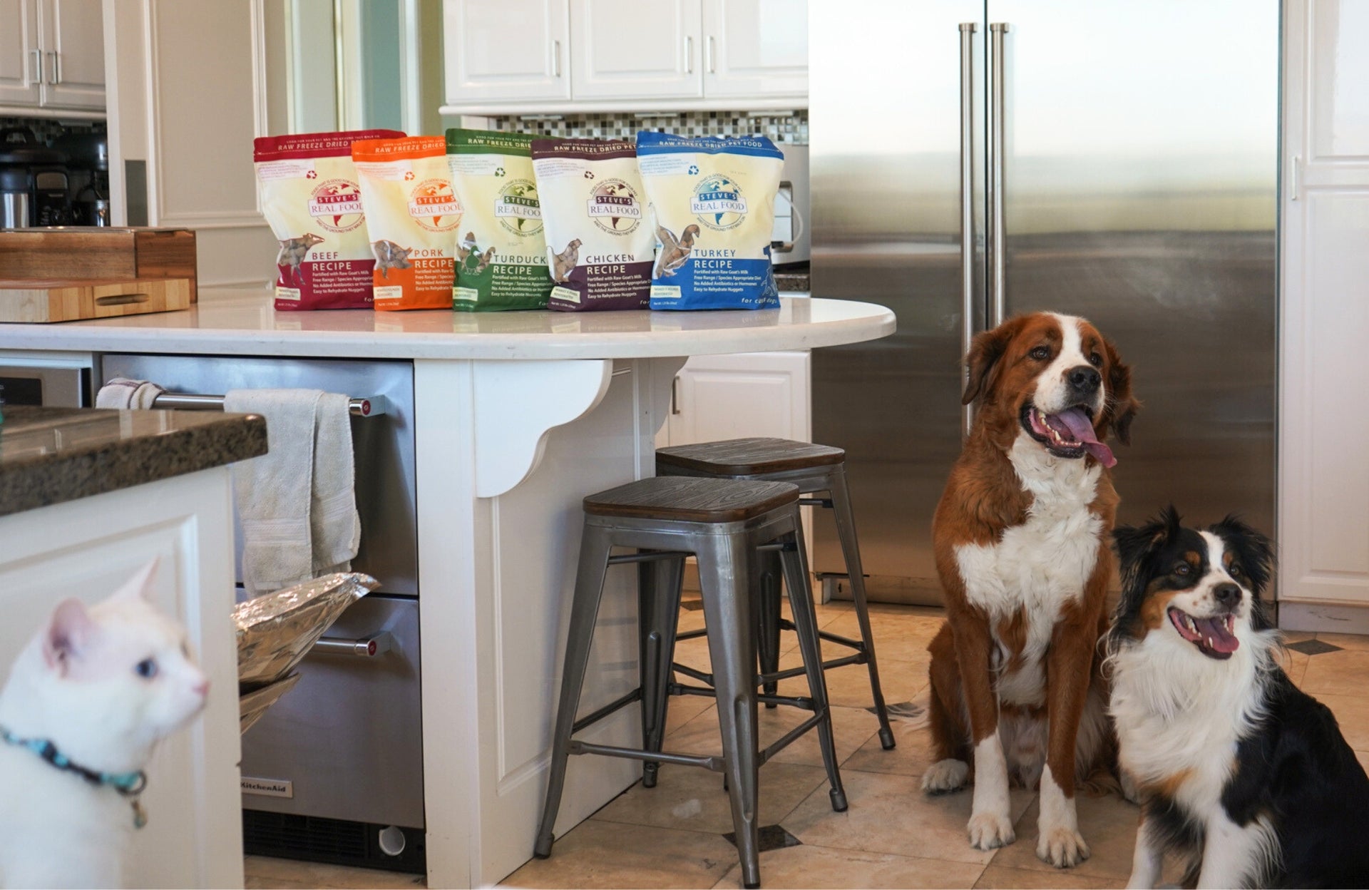 Feeding Your Pet Raw Pet Food