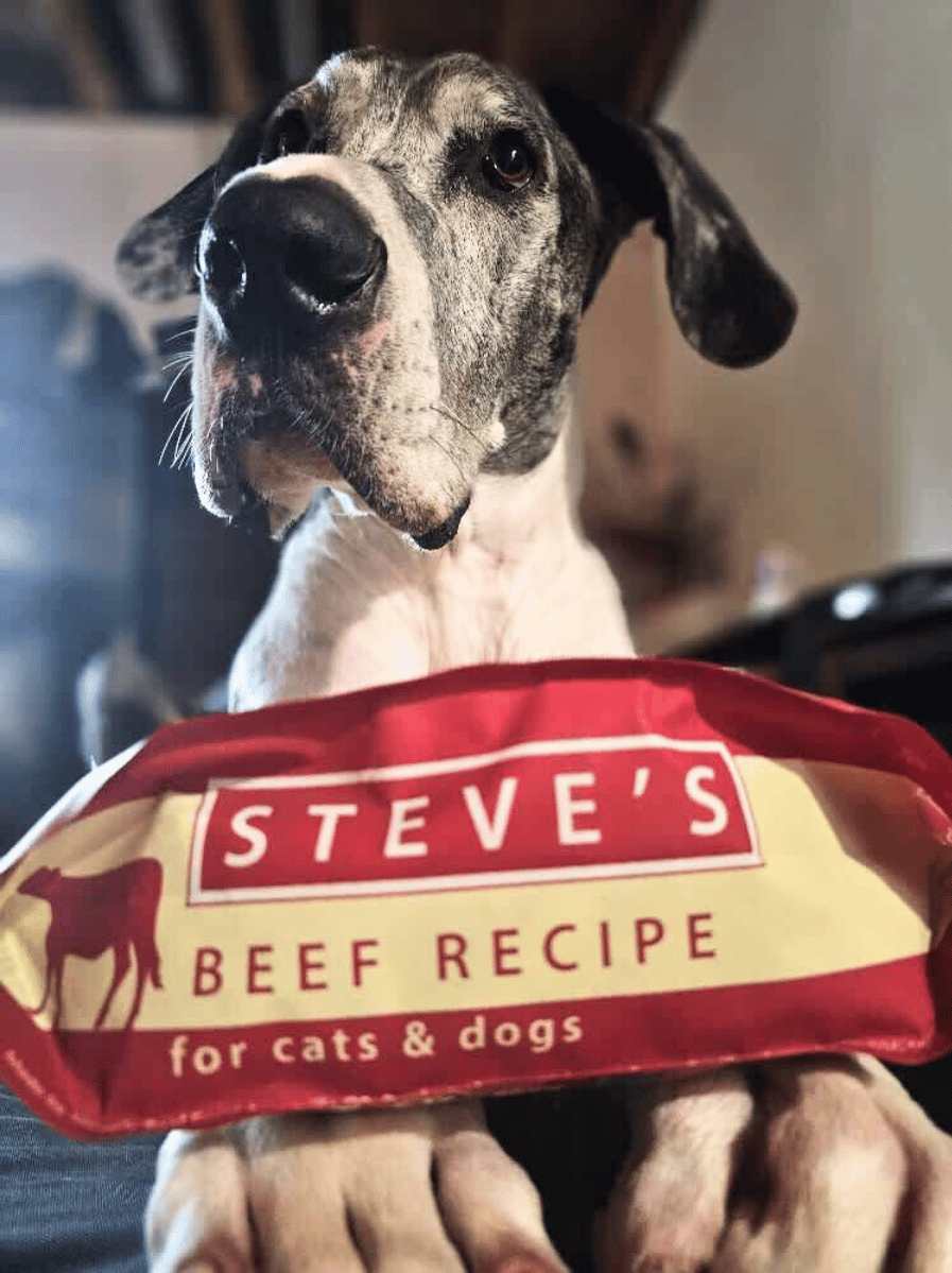 Beef 15 lb Frozen Raw Pet Food 3 Pack Bundle 3 Bags of Beef Nuggets