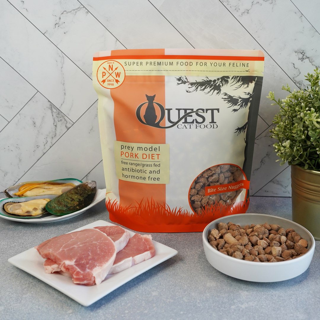 Frozen Raw Cat Food: Pork Diet (4 Pack)