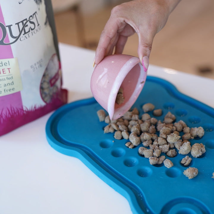 frozen cat nuggets on feeding platter