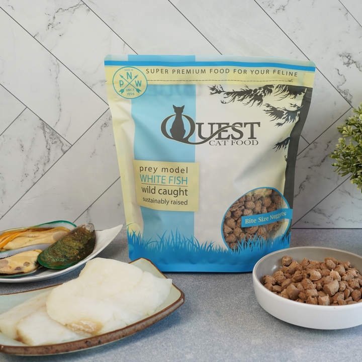 Frozen Raw Cat Food: White Fish Diet (4 Pack)
