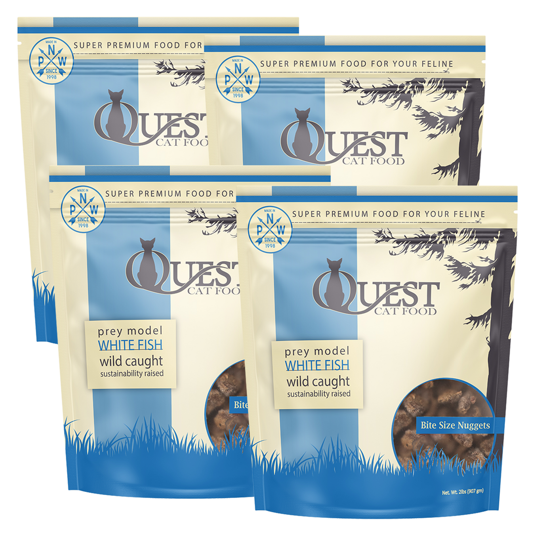 Frozen Raw Cat Food: White Fish Diet (4 Pack)
