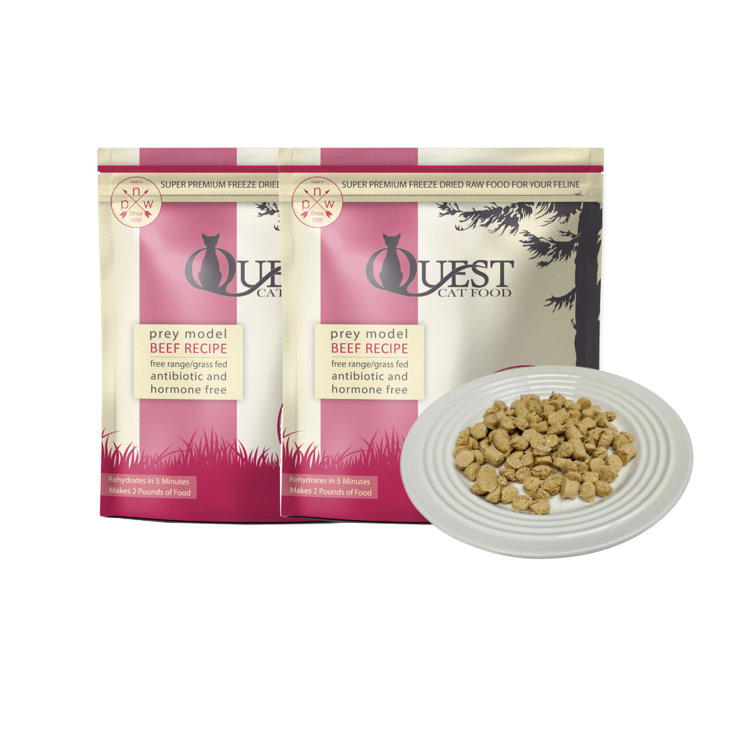 Freeze-Dried Raw Cat Food: Beef Diet (2 Pack)